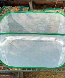 Mini Tent Greenhouse For Peyotes