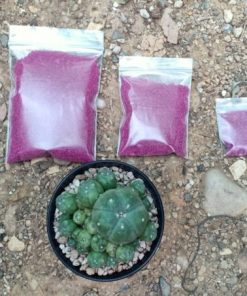 Alternative view of Starkle-G Insecticide- 250g
