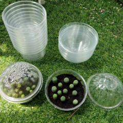 Plastic container special cactus germination 3 3/4″ (9.5cm) diameter