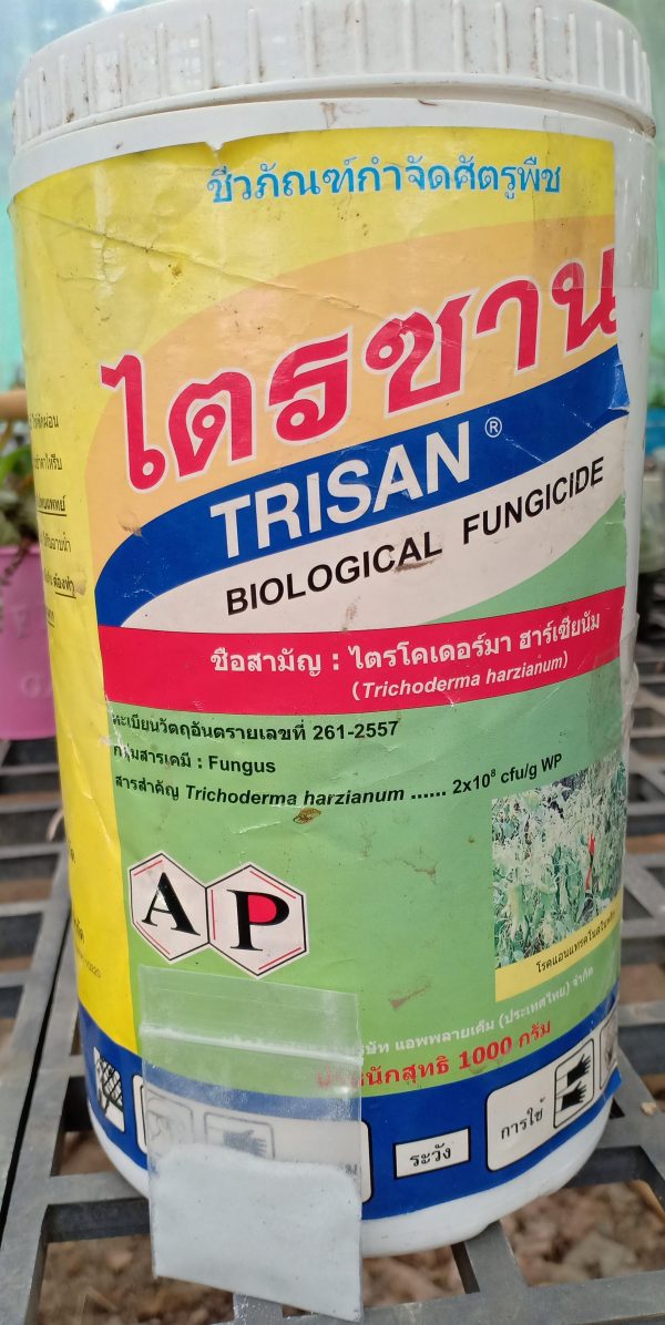 Fungicide biological, cactus disease prevention- 2g - Image 3