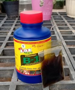 Alternative view of Vitamin B1 for cactus roots growth devlopment- 1 bottle of 100ml