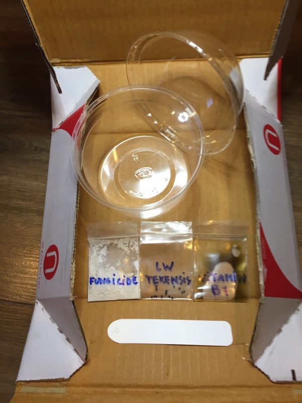 Germination Kit #1 - Image 4