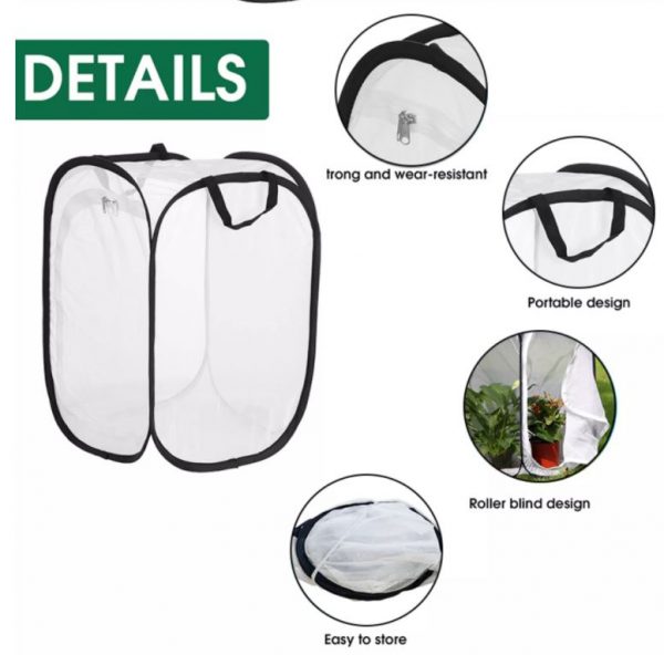 Mini Tent Greenhouse For Peyotes - Image 3