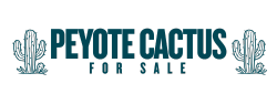Peyote Cactus